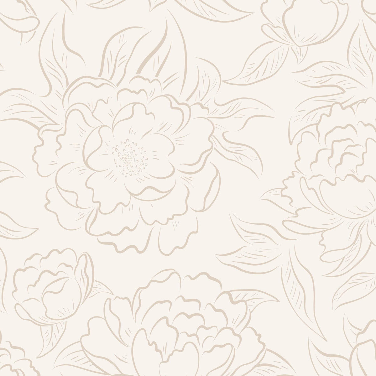 Close-up of soft beige sketched peonies on a cream background, Peony Sketch wallpaper