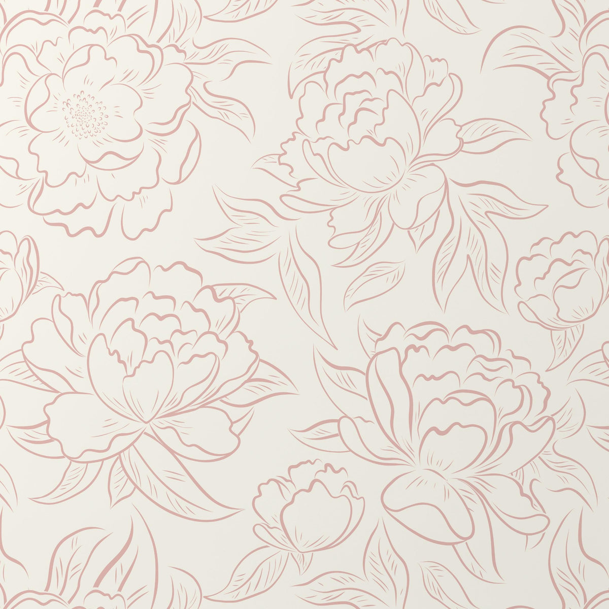 Close-up of blush pink sketched peonies on a cream background, Peony Sketch wallpaper