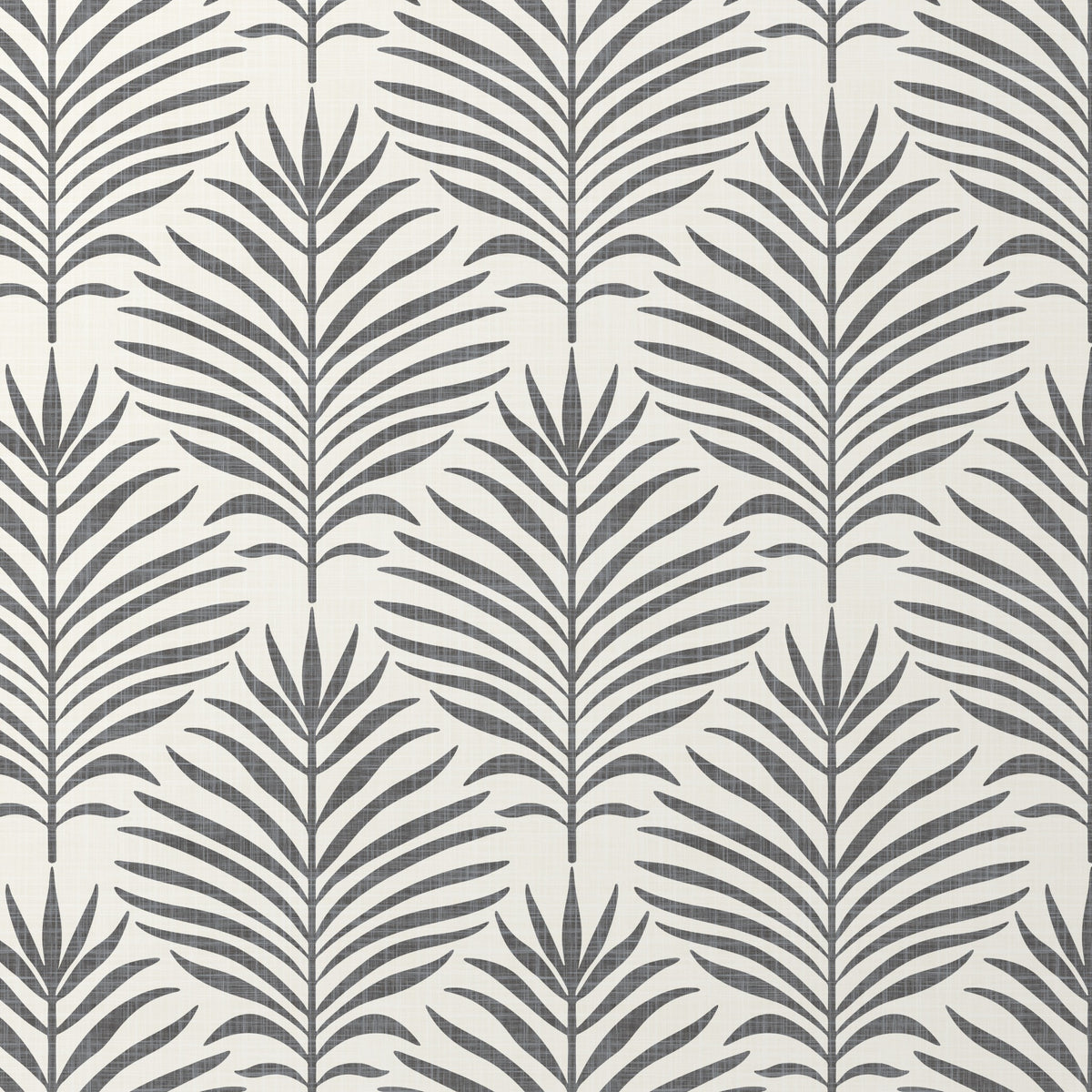 black and white palm leaf botanical wallpaper for modern coastal aesthetic in peel and stick, prepasted or traditional nonpasted.